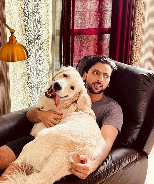 Golden Retriever Dogs For Mating In Bangalore