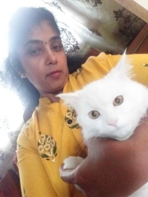 Persian Dogs For Mating In Bangalore