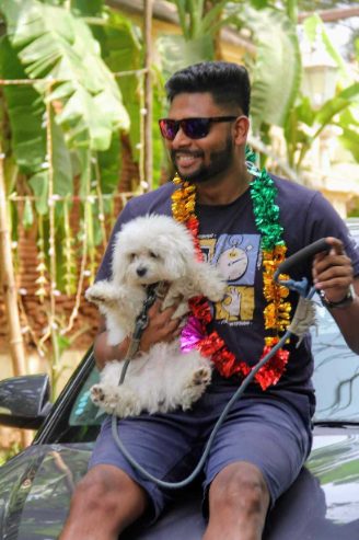 Maltipoo Dogs For Mating In Coimbatore