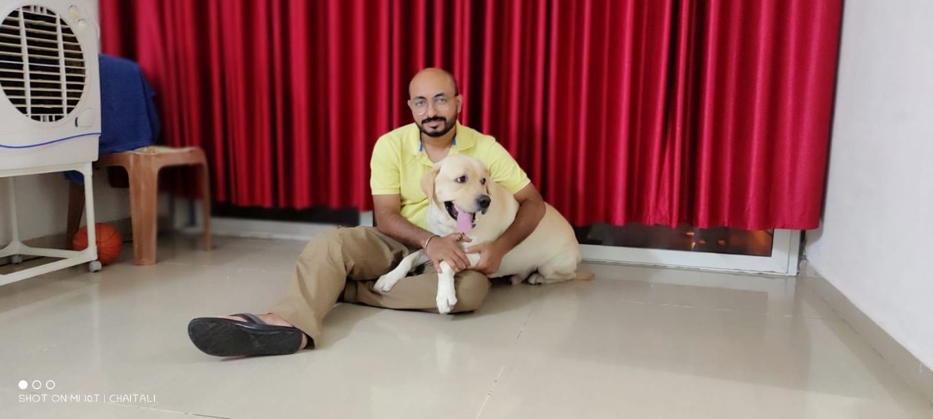 Labrador Retriever Dogs For Mating In Vizag