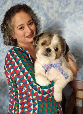 Shih Tzu Dogs For Mating In Mumbai