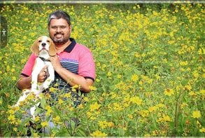 Beagle Dogs For Mating In Vizianagaram