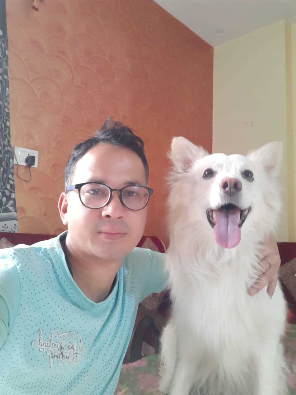 Papillon Dogs For Mating In Delhi