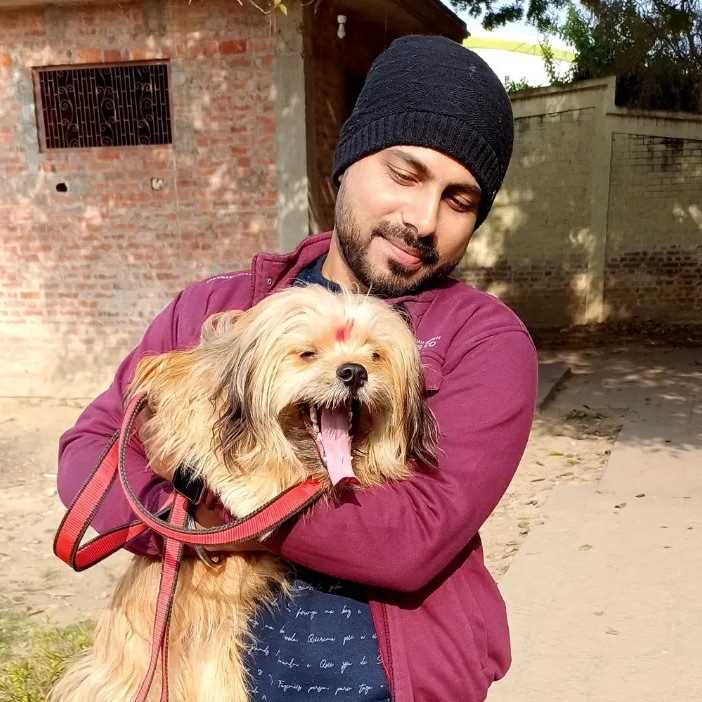 Lhasa Apso Dogs For Mating In Angul