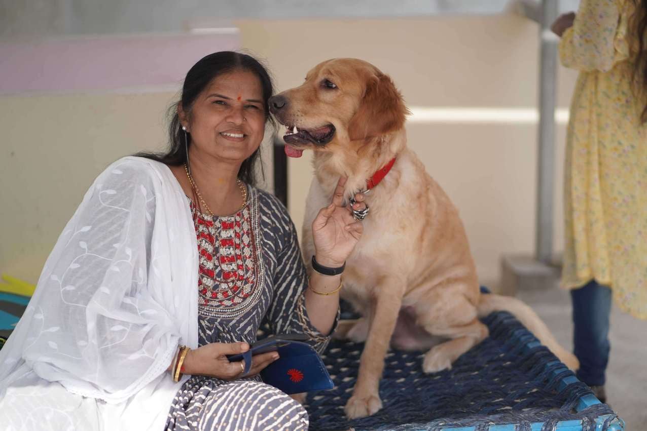 Golden Retriever Dogs For Mating In Ahmedabad