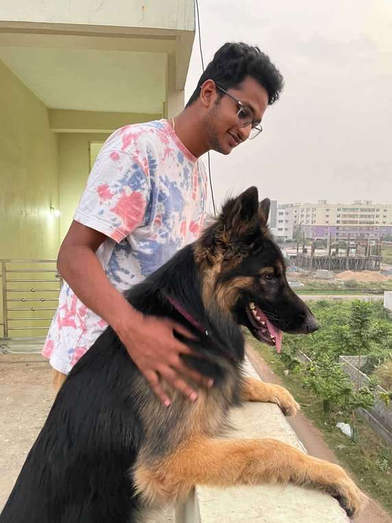 German Shepherd Dogs For Mating In Visakhapatnam