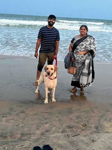 Labrador Retriever Dogs For Mating In Hyderabad