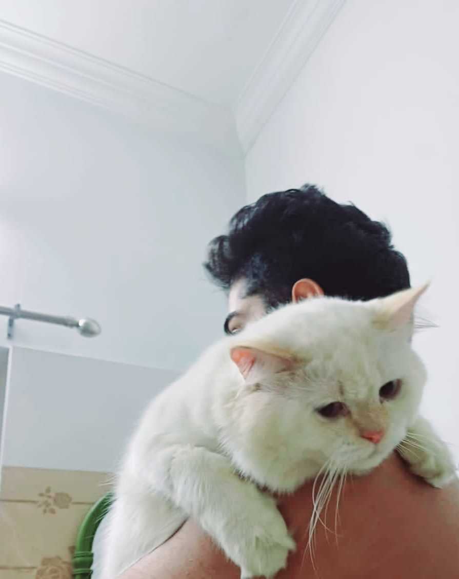 Persian For Adoption In Kochi