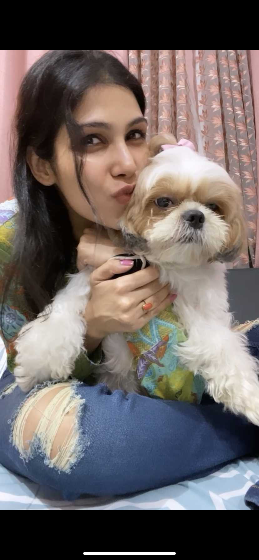 Shih Tzu Dogs For Mating In Jabalpur