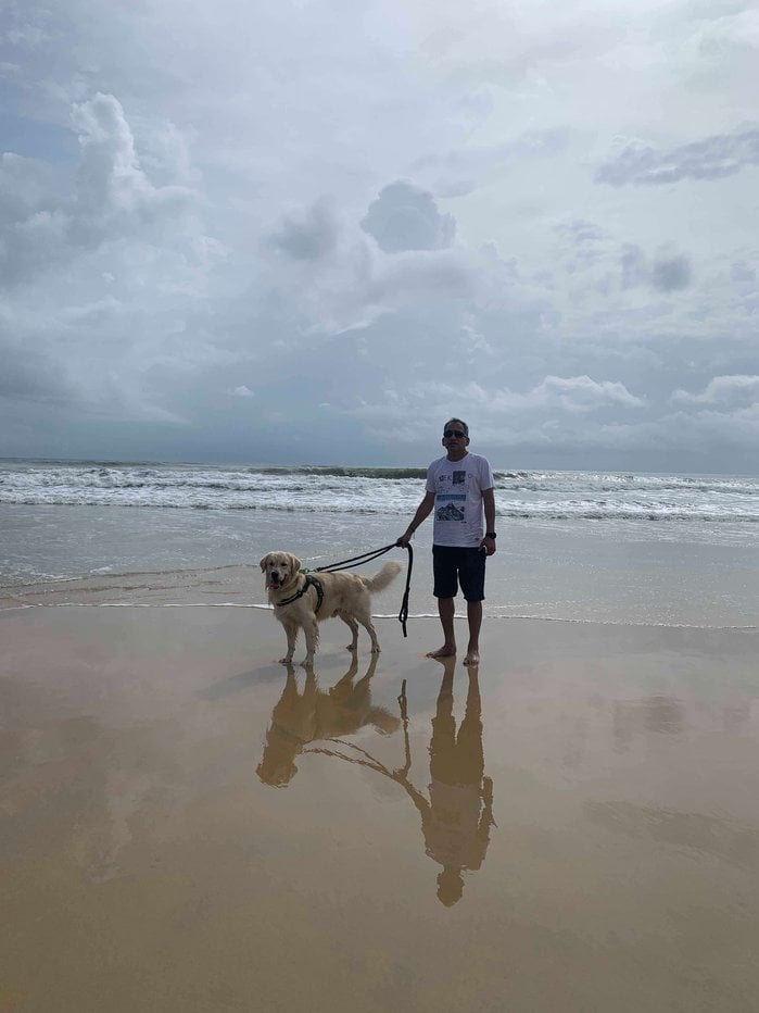 Golden Retriever Dogs For Mating In Bangalore